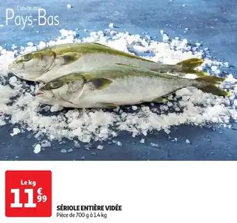 Promotion Exclusives de 15
Entière : Découvrez l'Offre incontournable