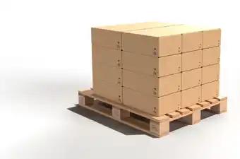 Promotion Exclusives de 2
Forets sds : Découvrez l'Offre incontournable