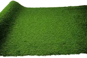 Promotion Exclusives de 10
Gazon artificiel : Découvrez l'Offre incontournable