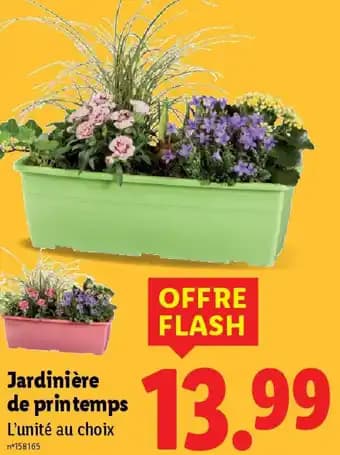 Promotion Exclusives de 42
Jardinière : Découvrez l'Offre incontournable