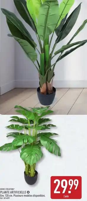 Promotion Exclusives de 13
Artificielle : Découvrez l'Offre incontournable