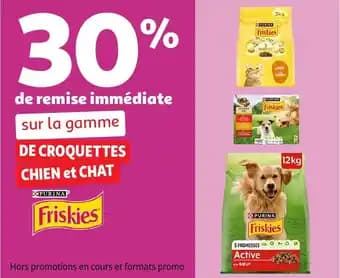 Promotion Exclusives de 4
Croquettes chien : Découvrez l'Offre incontournable