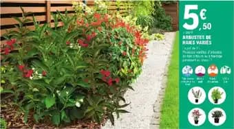 Promotion Exclusives de 68
            
        
        Haies : Découvrez l'Offre incontournable