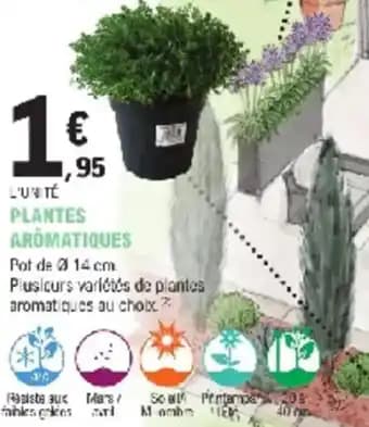 Promotion Exclusives de 66
            
        
        Plantes : Découvrez l'Offre incontournable