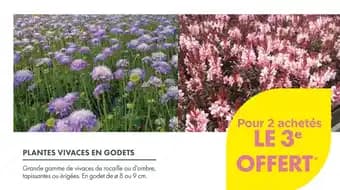 Promotion Exclusives de 5
            
        
        Godets : Découvrez l'Offre incontournable