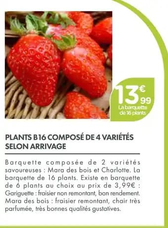 Promotion Exclusives de 1
            
        
        Arrivage : Découvrez l'Offre incontournable