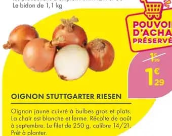 Promotion Exclusives de 4
            
        
        Oignon : Découvrez l'Offre incontournable