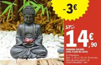 Promotion Exclusives de 23
Fleur : Découvrez l'Offre incontournable