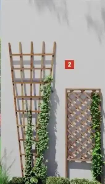 Promotion Exclusives de 1
Treillage : Découvrez l'Offre incontournable