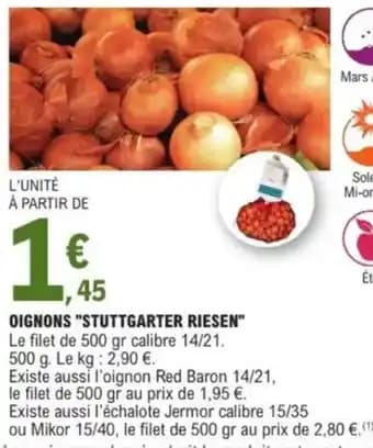 Oignons "stuttgarter riesen"