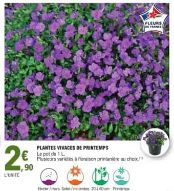 Plantes vivaces de printemps