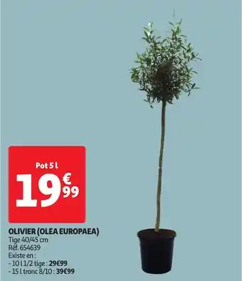 Promotion Exclusives de 17
Olivier : Découvrez l'Offre incontournable