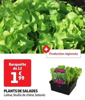 Promotion Exclusives de 3
Salades : Découvrez l'Offre incontournable