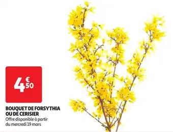 Bouquet de forsythia ou de cerisier