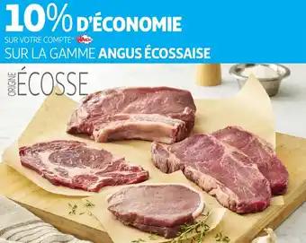 Promotion Exclusives de Angus : Découvrez l'Offre incontournable