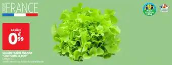 Promotion Exclusives de 57
Salade : Découvrez l'Offre incontournable