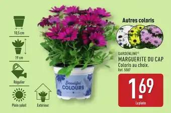 Promotion Exclusives de 8
Marguerite : Découvrez l'Offre incontournable