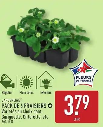Promotion Exclusives de 6
Fraisiers : Découvrez l'Offre incontournable