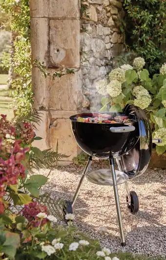 Promotion Exclusives de 1
Kettle : Découvrez l'Offre incontournable