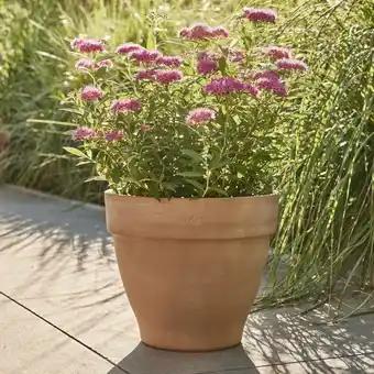 ECLOZ Pot Veneto ECLOZ
