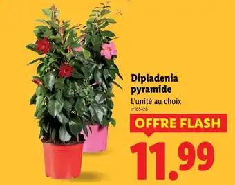 Promotion Exclusives de 3
Pyramide : Découvrez l'Offre incontournable