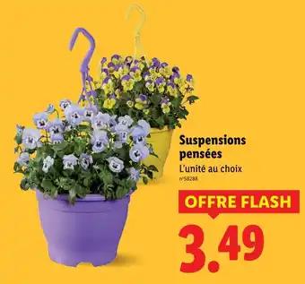 Promotion Exclusives de 3
Suspensions : Découvrez l'Offre incontournable