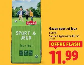 GRANDIOL Gazon sport et jeux