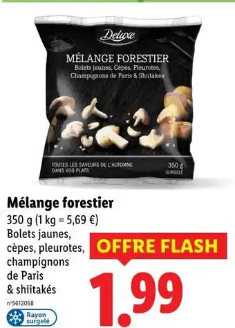 Promotion Exclusives de Mélange forestier : Découvrez l'Offre incontournable