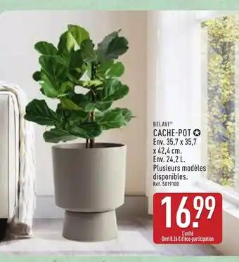 Promotion Exclusives de 25
Cache pot : Découvrez l'Offre incontournable