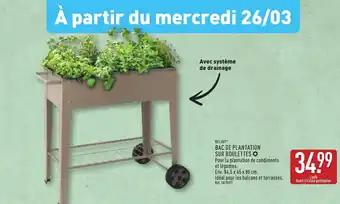 Promotion Exclusives de 19
Plantation : Découvrez l'Offre incontournable
