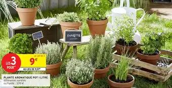 Plante aromatique pot 1 litre