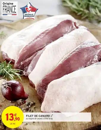 Promotion Exclusives de 4
Filet canard : Découvrez l'Offre incontournable
