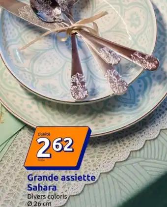 Promotion Exclusives de Grande assiette : Découvrez l'Offre incontournable