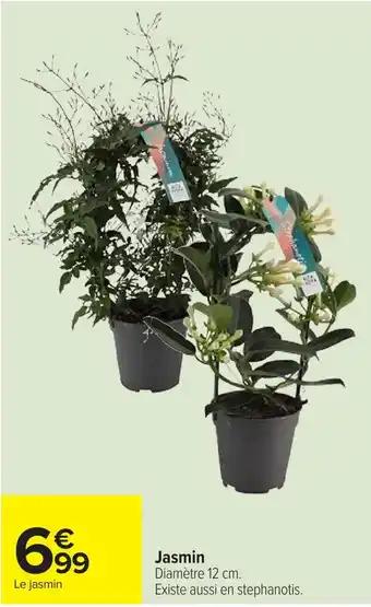 Promotion Exclusives de 11
Jasmin : Découvrez l'Offre incontournable