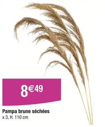 Promotion Exclusives de 5
Brune : Découvrez l'Offre incontournable