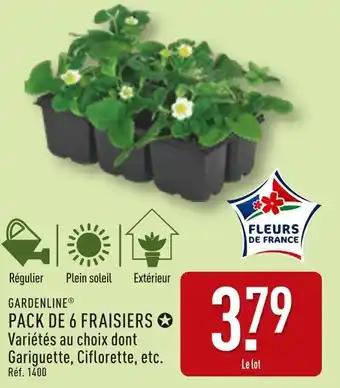 GARDENLINE Pack de 6 fraisiers