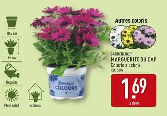 Promotion Exclusives de 4
Marguerite : Découvrez l'Offre incontournable