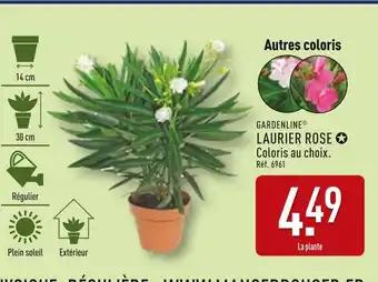 Promotion Exclusives de 6
Laurier : Découvrez l'Offre incontournable