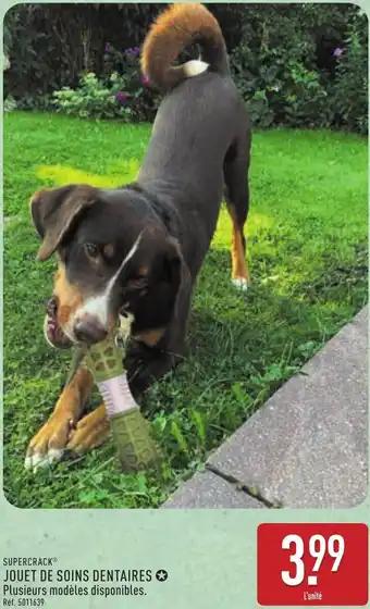 Supercrack jouet de soins dentaires