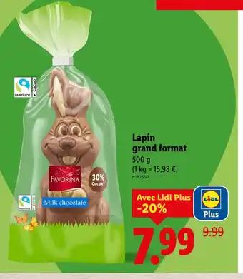 Favorina Lapin grand format