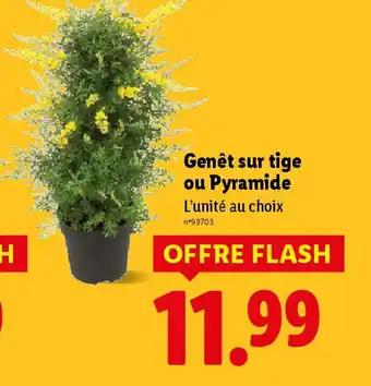 Promotion Exclusives de 5
Pyramide : Découvrez l'Offre incontournable