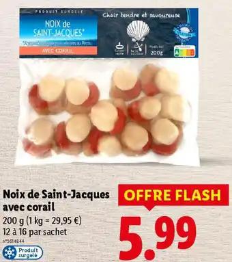 Promotion Exclusives de 5
Avec corail : Découvrez l'Offre incontournable
