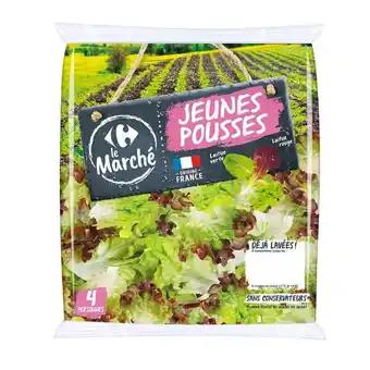 Jeunes pousses CARREFOUR Le Marché