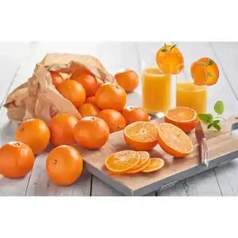 Promotion Exclusives de 4
Mandarine : Découvrez l'Offre incontournable