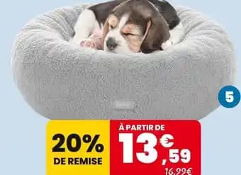 Promotion Exclusives de 6
            
        
        Mouton : Découvrez l'Offre incontournable