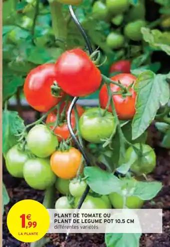 Promotion Exclusives de 3
Légume : Découvrez l'Offre incontournable