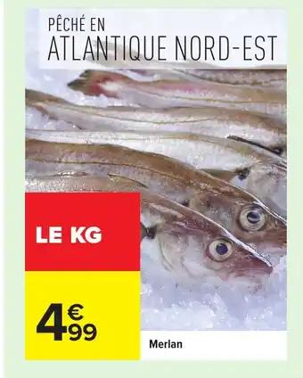 Promotion Exclusives de 7
Merlan : Découvrez l'Offre incontournable