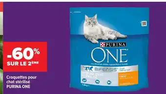 Promotion Exclusives de 16
Croquettes chat sterilise : Découvrez l'Offre incontournable
