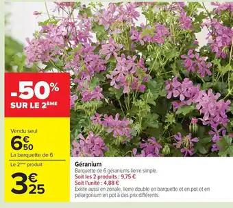 Promotion Exclusives de 15
Géranium : Découvrez l'Offre incontournable