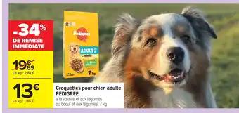 Promotion Exclusives de 18
Croquettes pour chien : Découvrez l'Offre incontournable
